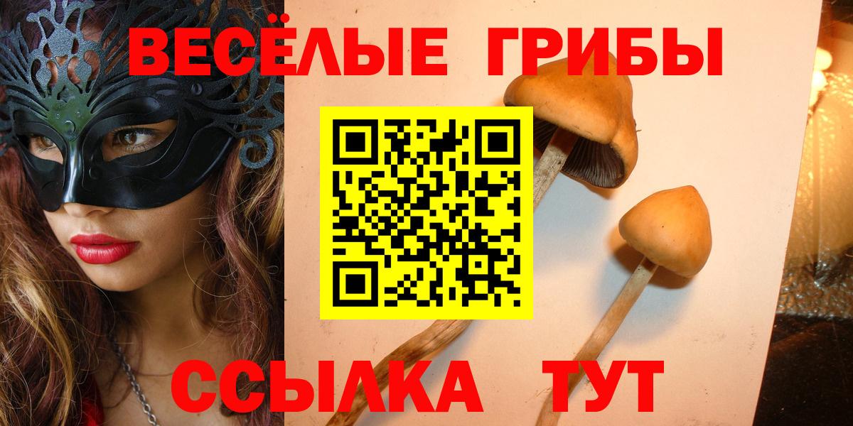 Псилоцибиновые грибы ЛСД  Вход с VPN  Ачинск 